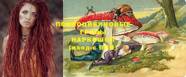 крисы Арсеньев