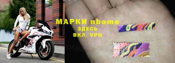 прущие грибы Армянск
