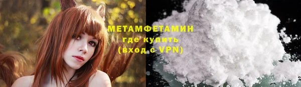 прущие грибы Армянск
