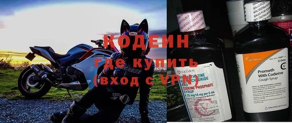 прущие грибы Армянск