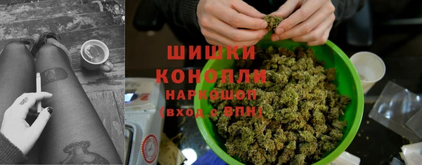 прущие грибы Армянск