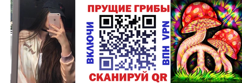 купить наркотики цена  Кемь  Галлюциногенные грибы MAGIC MUSHROOMS 